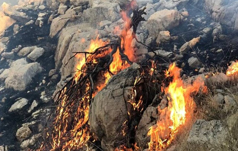 منطقه حفاطت شده خائیز کهلگیلویه در آتش می سوزد، و فقط مردمان محلی با دست خالی با آتش می جنگند