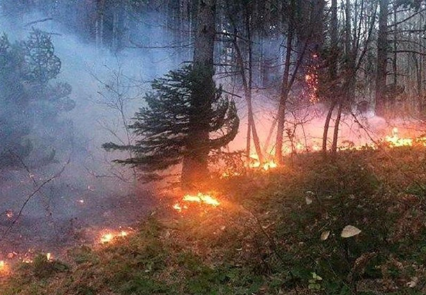 آتش سوزی در منطقه گرگدان و سمغان کوه چنار کازرون